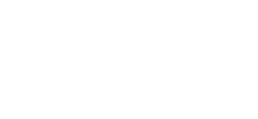 logo VRV bianco